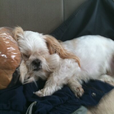Profile Picture of Paul Jeffers (@jeffers_paul) on Twitter
