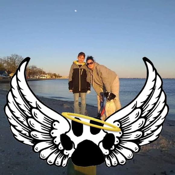 Profile Picture of Dana Sherran (@danasherran) on Poshmark