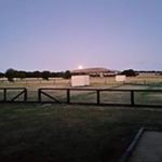 Profile Picture of Janet Hemming (@janethemming) on Instagram