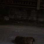 Profile Picture of Sedrick Walker (@sedrick.walker.3) on Instagram