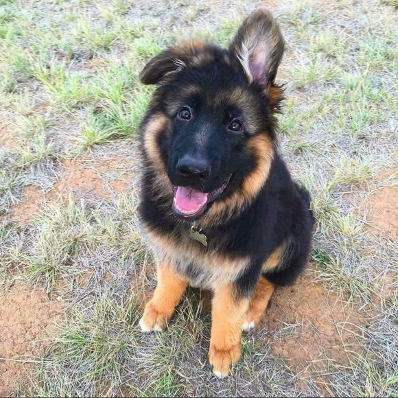 Profile Picture of Jacobi Tyson (@jacobityson) on Poshmark