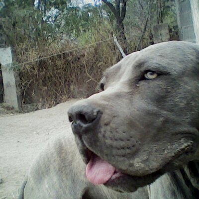 Profile Picture of Rene Plata (@Plata3Re) on Twitter