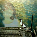 Profile Picture of chastady cooper (@chastadycooper) on Instagram