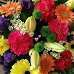 Profile Picture of Asad Hafeez (@asad.hafeez.3304) on Instagram