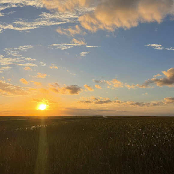 Profile Picture of Thalius Hecksher (@thaliushecksher) on Poshmark