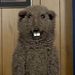 Profile Picture of Brendan Stubblefield (@brendanstubblef) on Pinterest