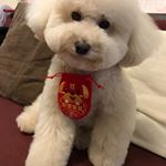 Profile Picture of SCOTT YANG (@scott62324) on Instagram