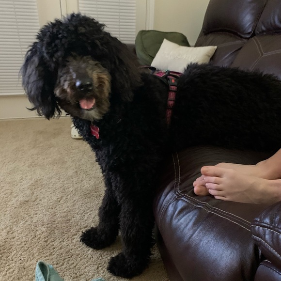 Profile Picture of Kenny Smith (@kennys1122) on Poshmark