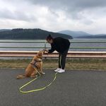 Profile Picture of Sandy Jennifer Hahn (@sandyjenniferhahn) on Instagram