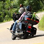 René Carranza - Instagram Profile Picture of René Carranza (@renecarranza6) on Instagram