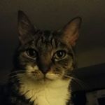 Profile Picture of Kim Heyden (@kim.heyden) on Instagram