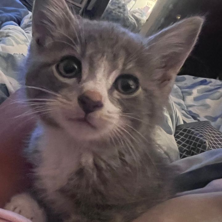 Profile Picture of 🌻Jen🌻 (@jenlilienthal) on Tiktok