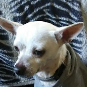 Profile Picture of Lucas Berry (@lucasberry8249) on Youtube