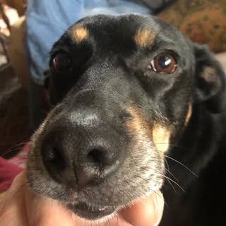 Profile Picture of Michael (@michaelisaman) on Instagram