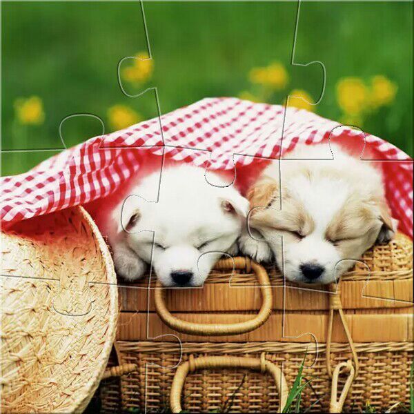 Profile Picture of anyapinder (@annepinder101) on Tiktok