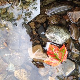 Profile Picture of Audra Larson (@audan23) on Pinterest