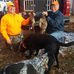 Profile Picture of Gary Whitmer (@gary.whitmer.182) on Facebook