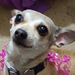 Profile Picture of Robert Bartmess (@robertbartmess) on Instagram