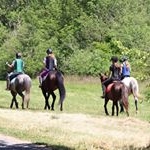 Profile Picture of used to be: barnone.stables (@eugene.riders) on Instagram