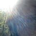 Profile Picture of Tamara McGovern (@tamaratmcgovern) on Pinterest