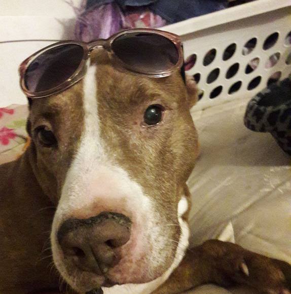 Jalyn Czarnecki - Poshmark Profile Picture of Jalyn Czarnecki (@mrspinkhonda) on Poshmark