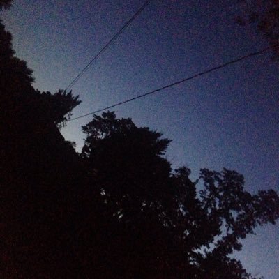 Profile Picture of Jason D'Ambrosio (@dambro28) on Twitter