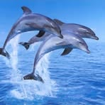 Profile Picture of Trevor Bannister (@trevor.bannister.7545) on Facebook