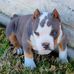 Profile Picture of Ray Hayden (@ray.hayden.7355) on Facebook
