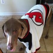 Profile Picture of Kim Pennock (@wolanin26) on Pinterest