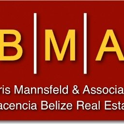 Profile Picture of Boris Mannsfeld (@borismannsfeld) on Twitter