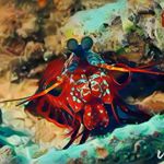 Profile Picture of James Tewes (@divertewes) on Instagram