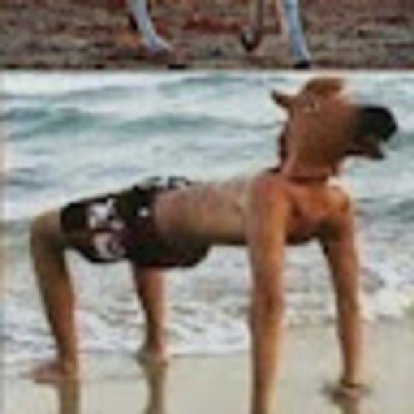 Profile Picture of Bryn Birgfeld (@bb0988035) on Poshmark