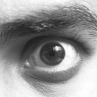 Profile Picture of Mehrdad Tabrizi (@mehrdad-tabrizi-2) on Quora