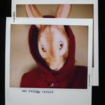 Profile Picture of Adrienne Cassidy (@redridingrabbit) on Instagram