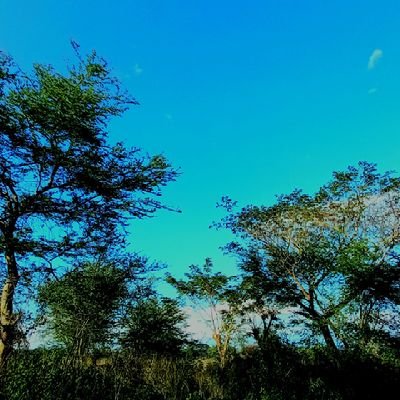 Profile Picture of Ken Cabral (@KenCabral5) on Twitter