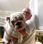 Profile Picture of Benjamin Golsch (@benjamin.golsch.7) on Facebook