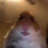 Profile Picture of James Keer (@fortnitelive_) on Tiktok