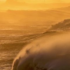 Profile Picture of Charlotte Schultz (@charlotte.schultz0) on Tiktok