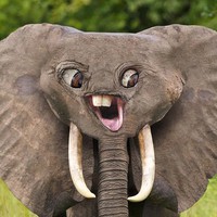 Profile Picture of Fallon Doyle (@fallon-doyle) on Quora