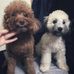 Profile Picture of Edith Tsai (@edith.tsai.56) on Facebook