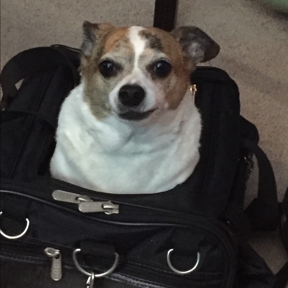 Profile Picture of Ruby Tirado (@rubyt49) on Poshmark