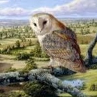 Profile Picture of Michael Knighton (@michael-knighton-3) on Quora