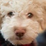 David Wohlstadter - Instagram Profile Picture of David Wohlstadter (@david.wohlstadter) on Instagram