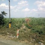 Profile Picture of Ismenia Rivera (@ismenia.rivera.56) on Instagram