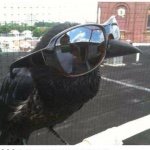 Profile Picture of Jed Cannon (@the_raven_edgar_allen_bro) on Instagram