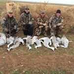 Profile Picture of Craig Calhoun (@craig.calhoun1) on Instagram