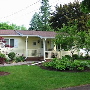 Profile Picture of Carol Pfeffer798 (@carolpfeffer798) on Tiktok