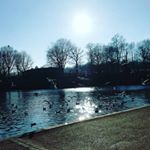 Profile Picture of Lynesha Bryan (@lyneshabryan) on Instagram