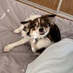 Profile Picture of George Smith (@george_retard) on Instagram