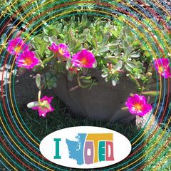 Margo Meyer - Tiktok Profile Picture of Margo Meyer (@@margomeyer4) on Tiktok